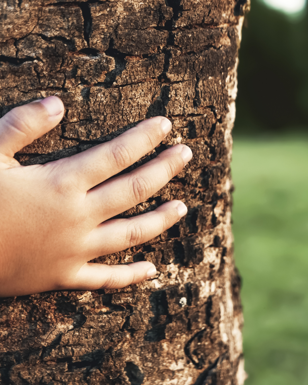 cuidar la naturaleza con niños