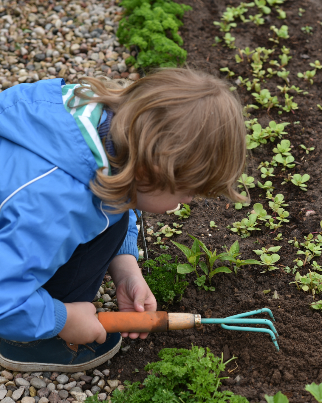 niño plantando semillas naturaleza actividades de primavera para niños